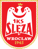 Sleza Wroclaw W